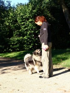 Formation éducateur canin