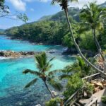 green palm tree near body of water during daytime