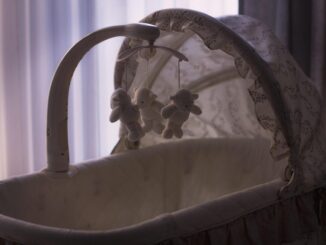 Berceau avec moustoir et jouets en peluche, lumière douce
